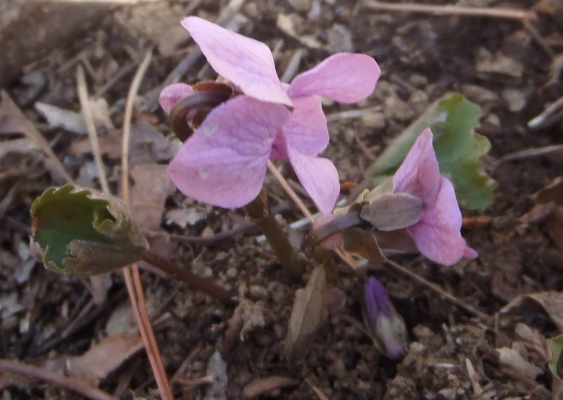 �A�P�{�m�X�~��