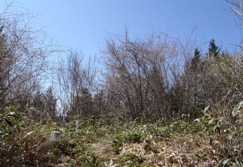 �O�p�_�̕W��