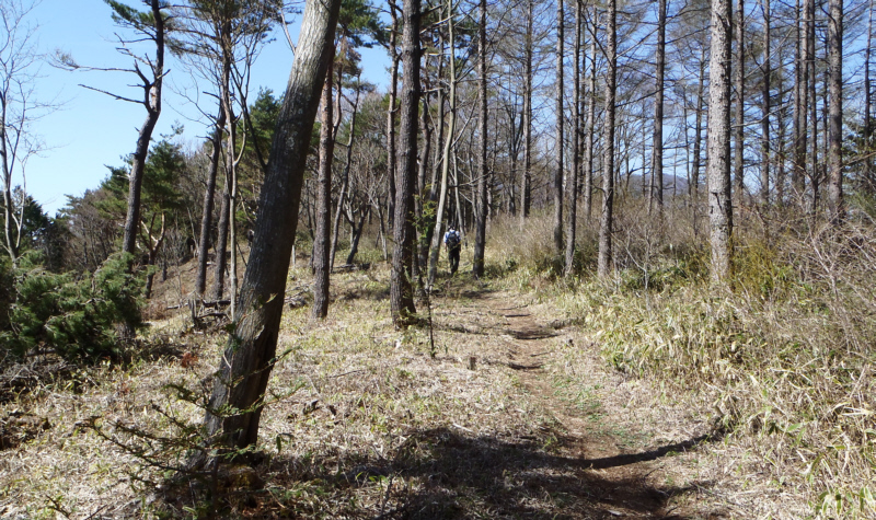 �o�R����i�ގ�