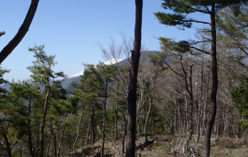 �x�m�R�͌䐳�̎R�̌��ɏ����Ă����܂�