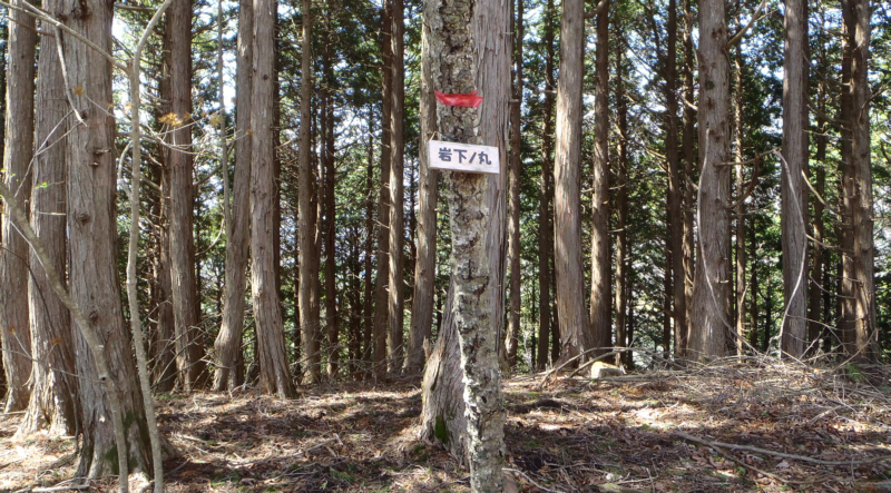 ������́u�≺�m�ہv�����̕\����