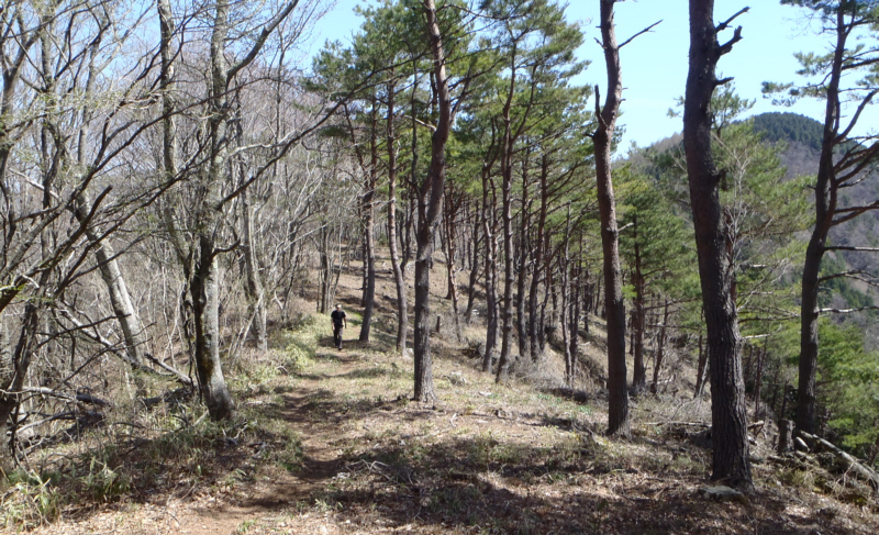 ��ɐi�񂾑��_���񂪑��������łƐ��������܂�