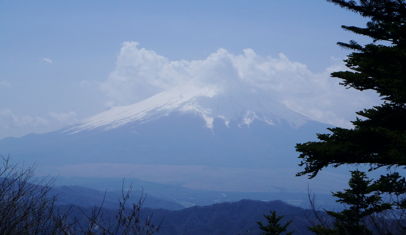 ��{�ՓW�]�䂩��̕x�m�R�@2014�N4��29���@14�F03