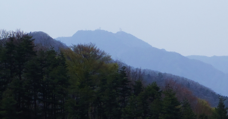 �O�c���R�g��