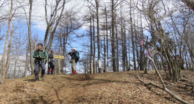 ���q�R����ɓ���