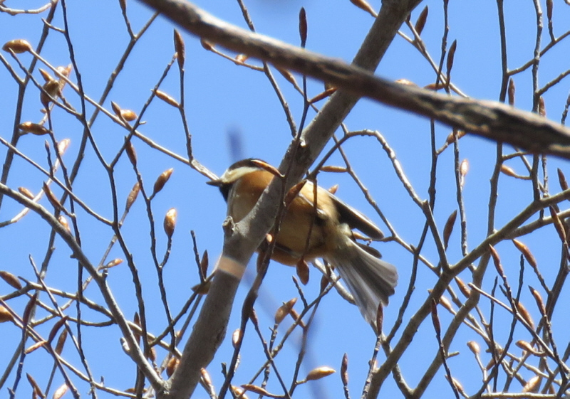 ���}�K��