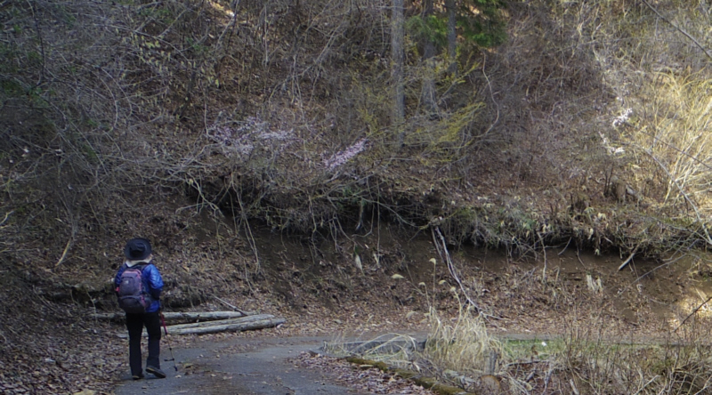 ����T���Ȃ��牺���Ă����܂��B