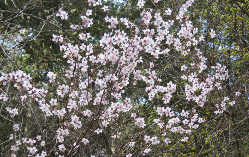 �}���U�N�����J