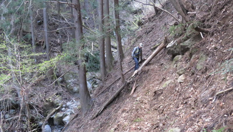 ���u���ɉ��R