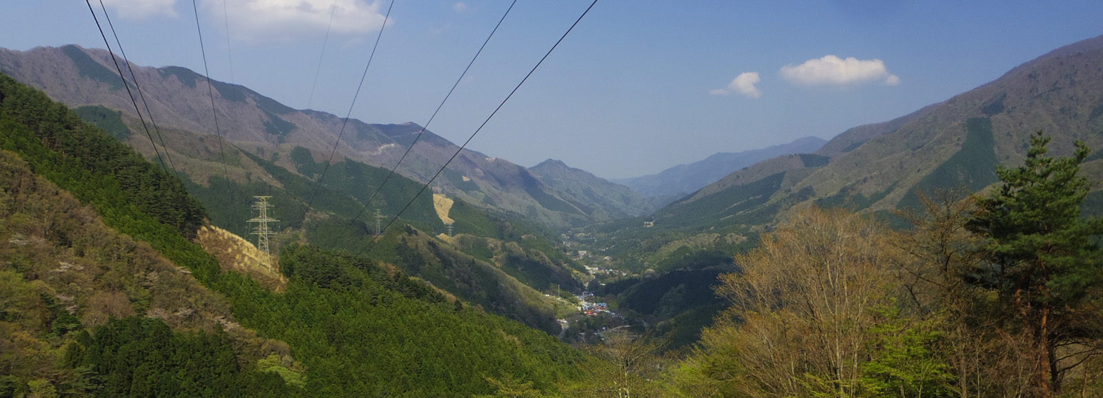 �ؔ��R�[���u���Ԃ���̓��u�݂��̌i��