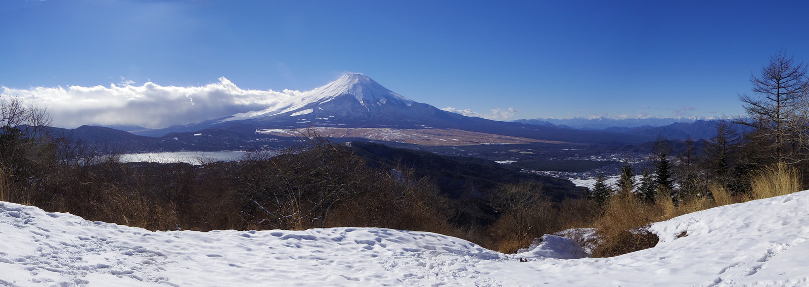 �Ί��R����̕x�m�R