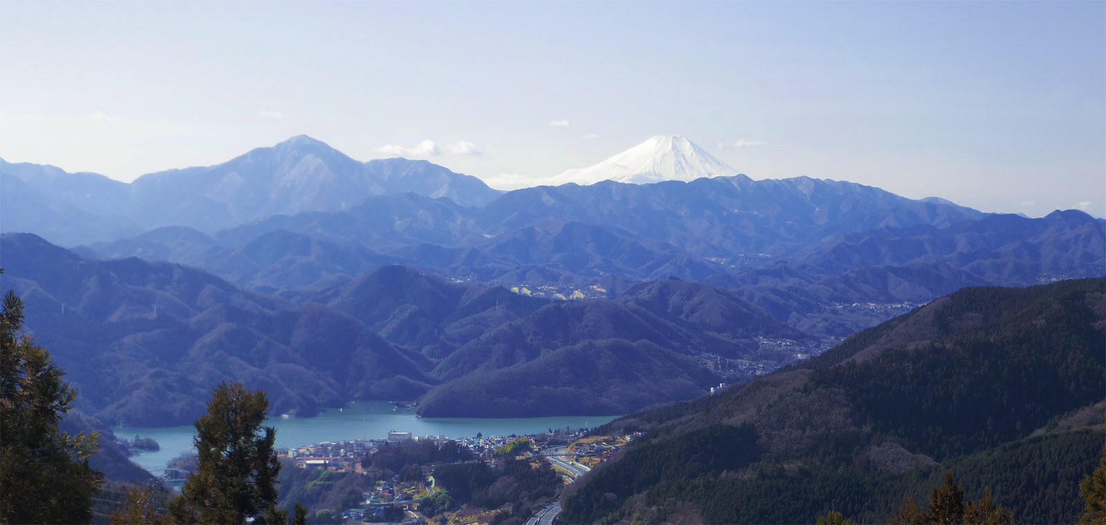 ��������̕x�m�R�W�]�n����̕x�m�R�Ƒ��͌�