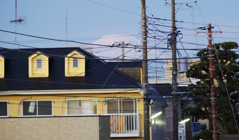 ���c�}�]�m��������w����x�m�R�������܂��B