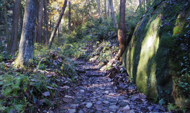 �₪�����R��