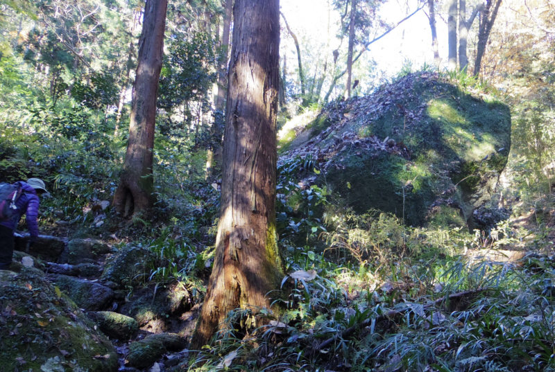 �u�m����v