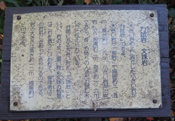 �u�͎���v�Ɓu�����v�̐�����