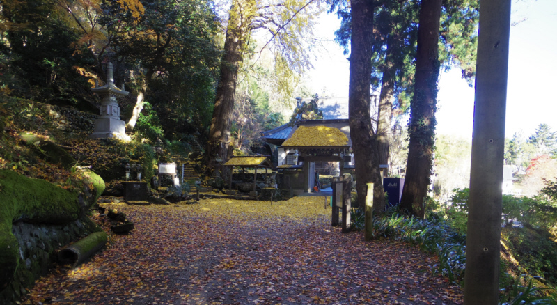 ���̍⓹��o�������Ɍ�����