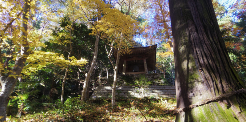 �Βi�̏�ɏ�����