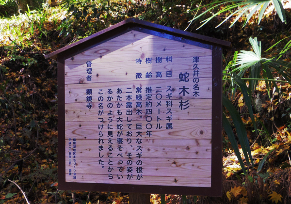 �u�֖ؐ��v�̐�����