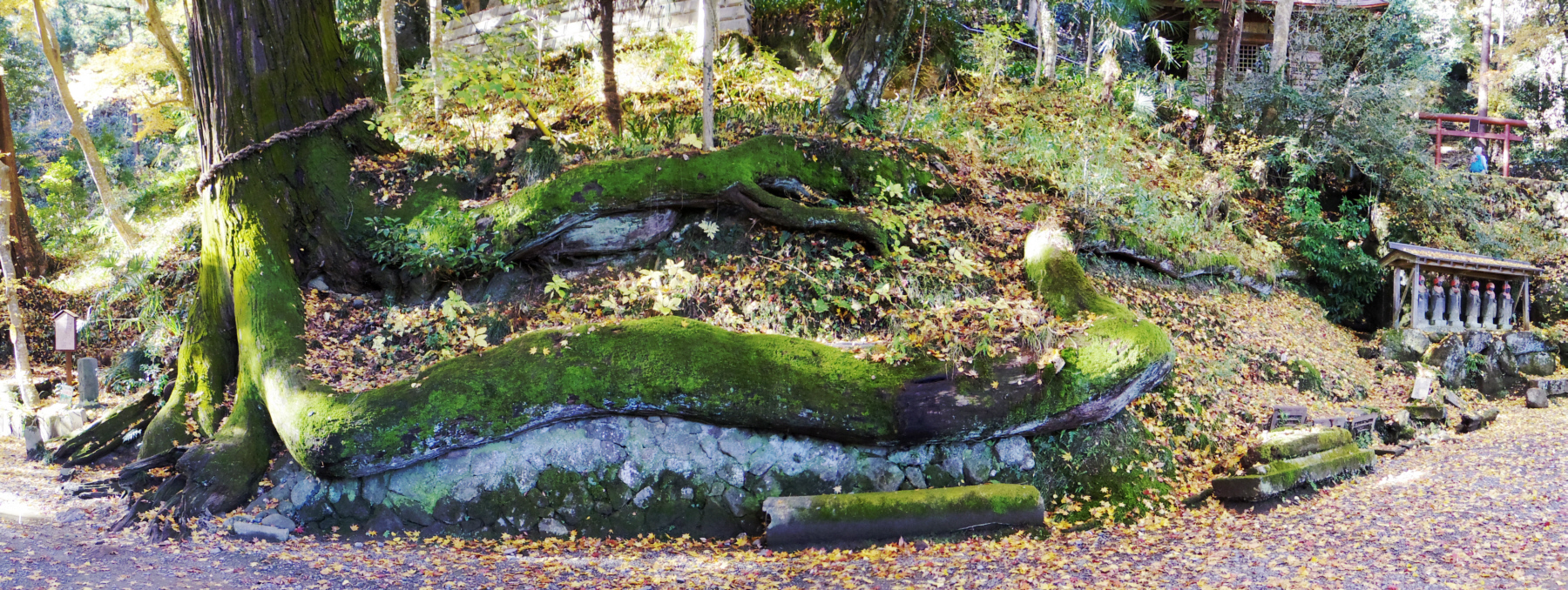 �ΘV�R�������֖̎ؐ�