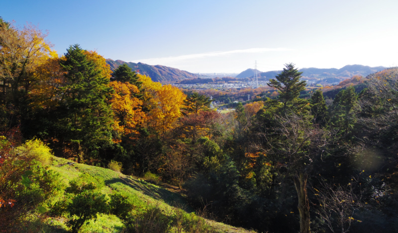 �{���̑O�̌����䂩��̌i��