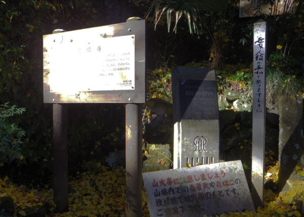 ���Ȃ���̖��؂P�O�O�I�u�������̃C�`���E�v�̐�����