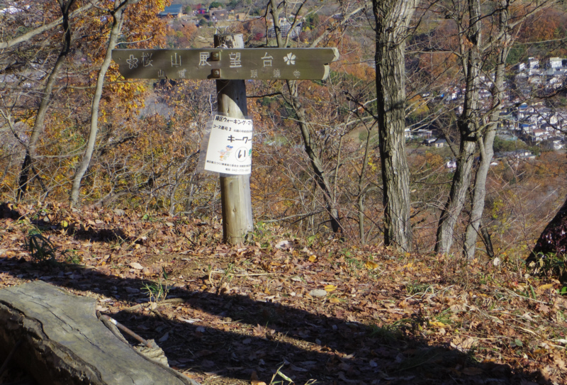 ���R�W�]��