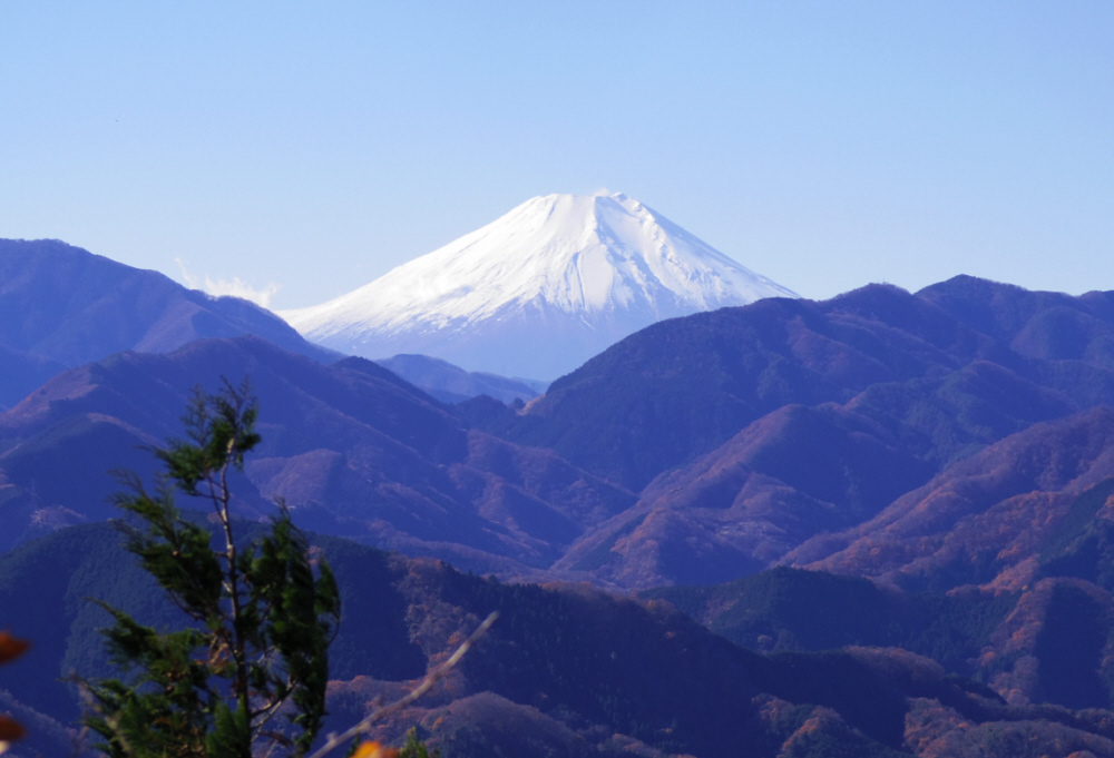 �喾�_�W�]�䂩��̕x�m�R�B