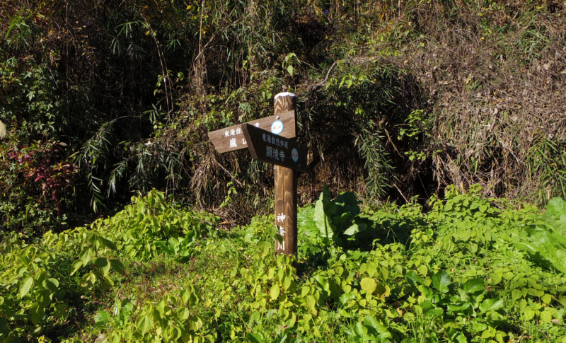 ���C���R�V�����̗��R���ʂ֐i�݂܂��B