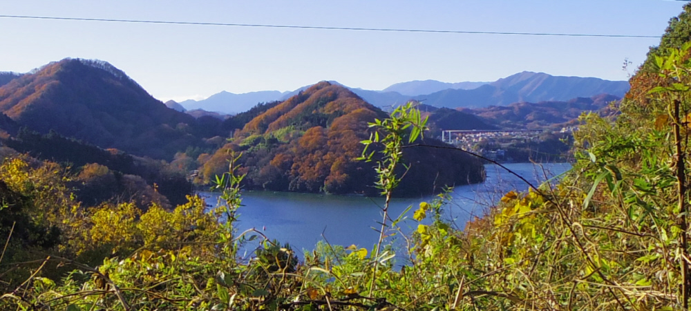 ���R�n�C�L���O�R�[�X����̑��͌΁B