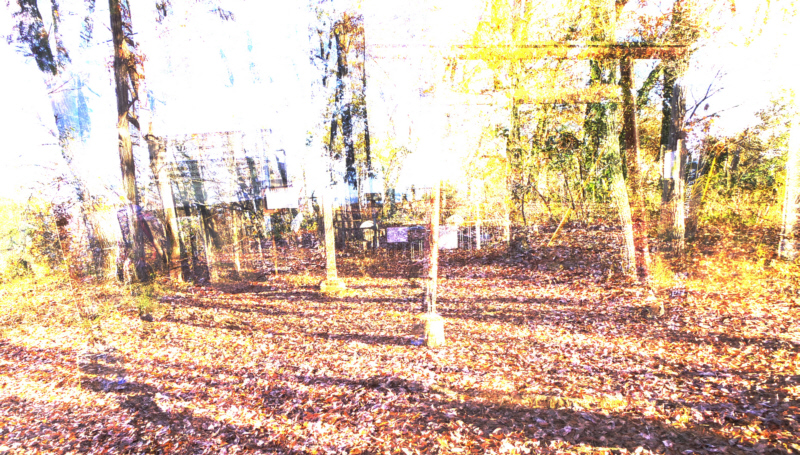 ���R�R���L��B�S��ʐ^�̂悤�Ȏʂ���ł��B