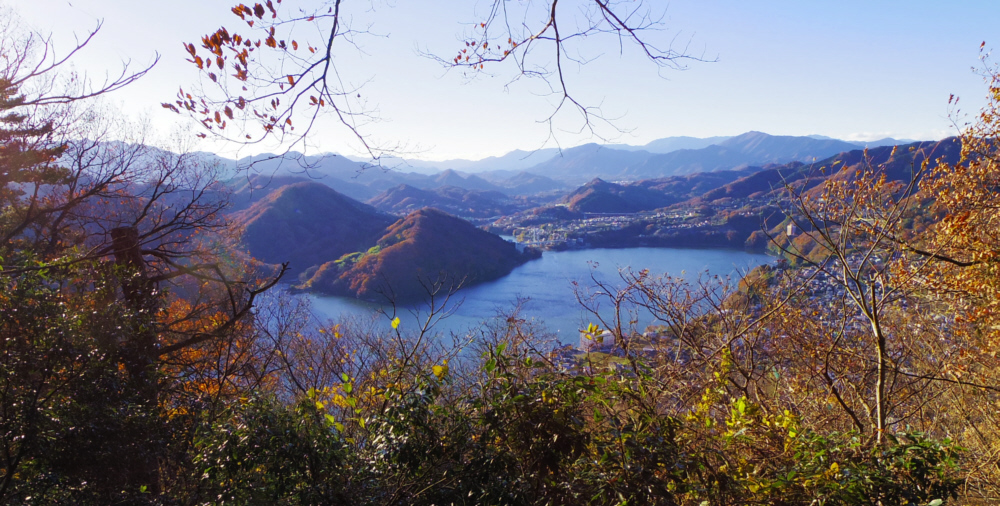 ���R�R������̌i�ρB