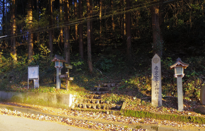 ���R�o�R��