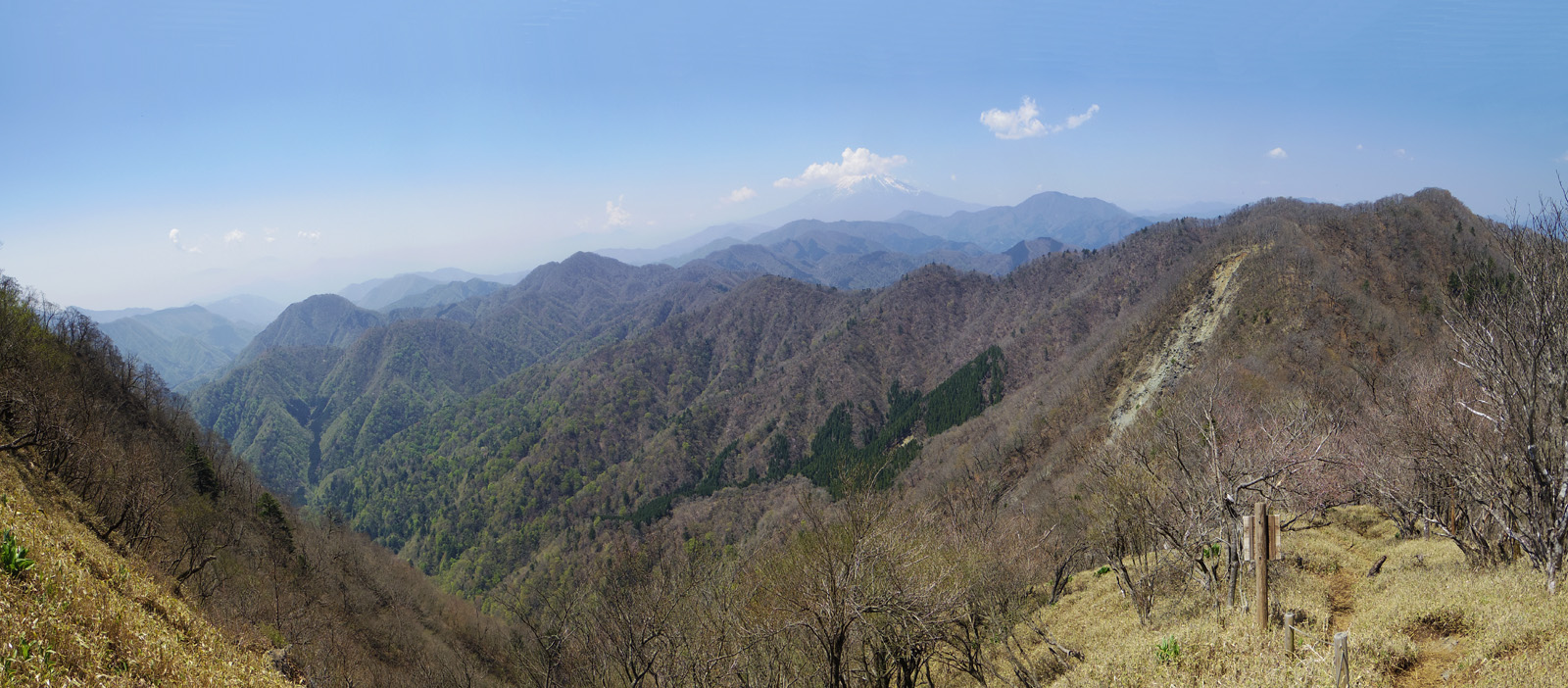 �j�����`�厺�R���̌����Ԃ���̕x�m�R�̎ʐ^