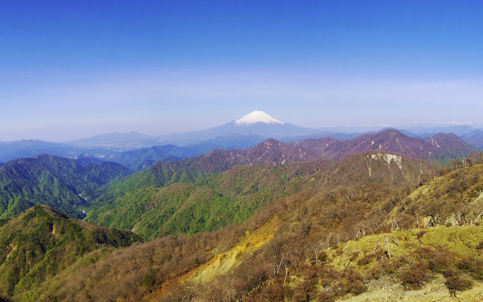 �@�s���m���W�]�X�|�b�g����@�x�m�R�ƈ���R�@2014.5.11�@7�F30�@�ǎ��p�@