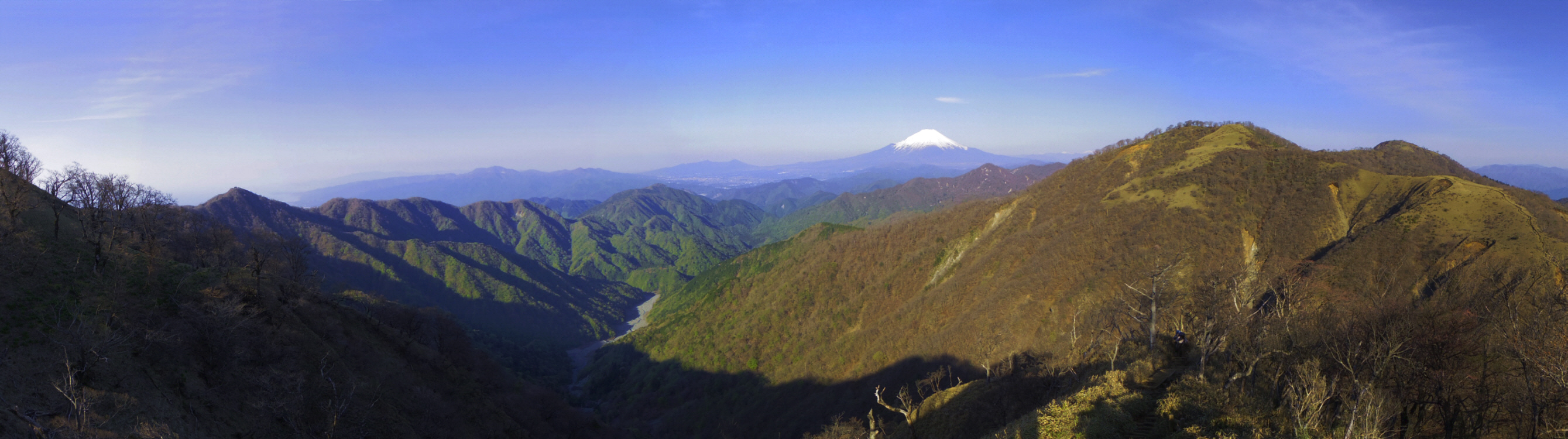 �O��R�R������3�����ɂ���x�m�R�W�]�ꏊ����̕x�m�R�������W�]