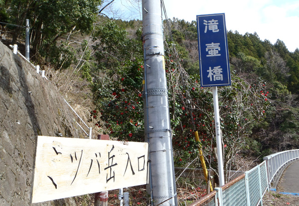 滝壷橋のミツバ岳登山口