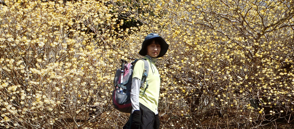 背景が全面ミツマタの記念撮影