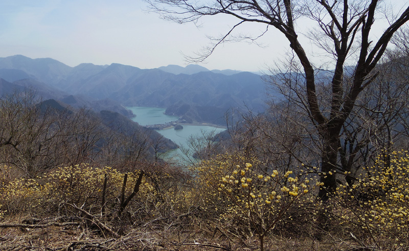 ミツバ岳からの丹沢湖