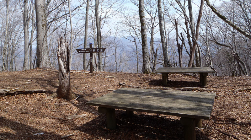 ミツバ岳分岐