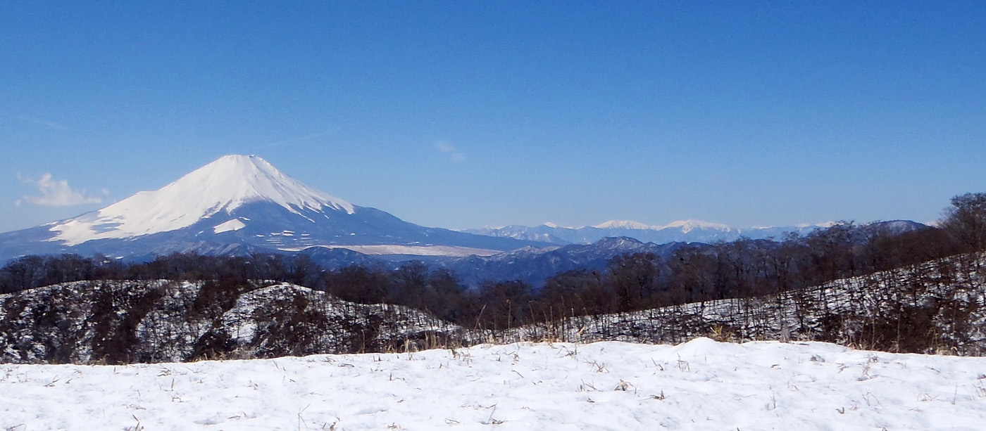 ���m�x�̉ԗ��m������̕x�m�R