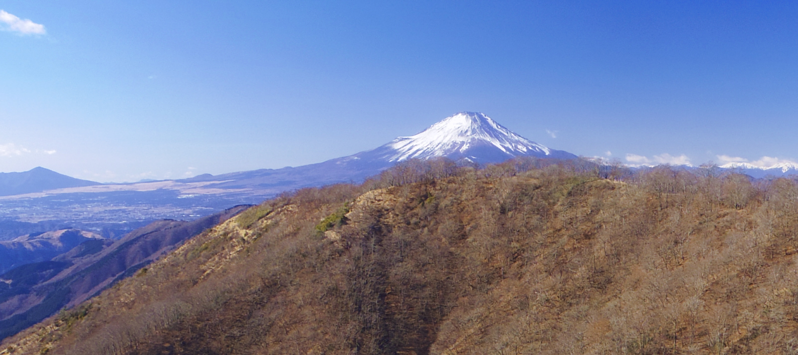 �ԗ��m������̕x�m�R�@2018.13