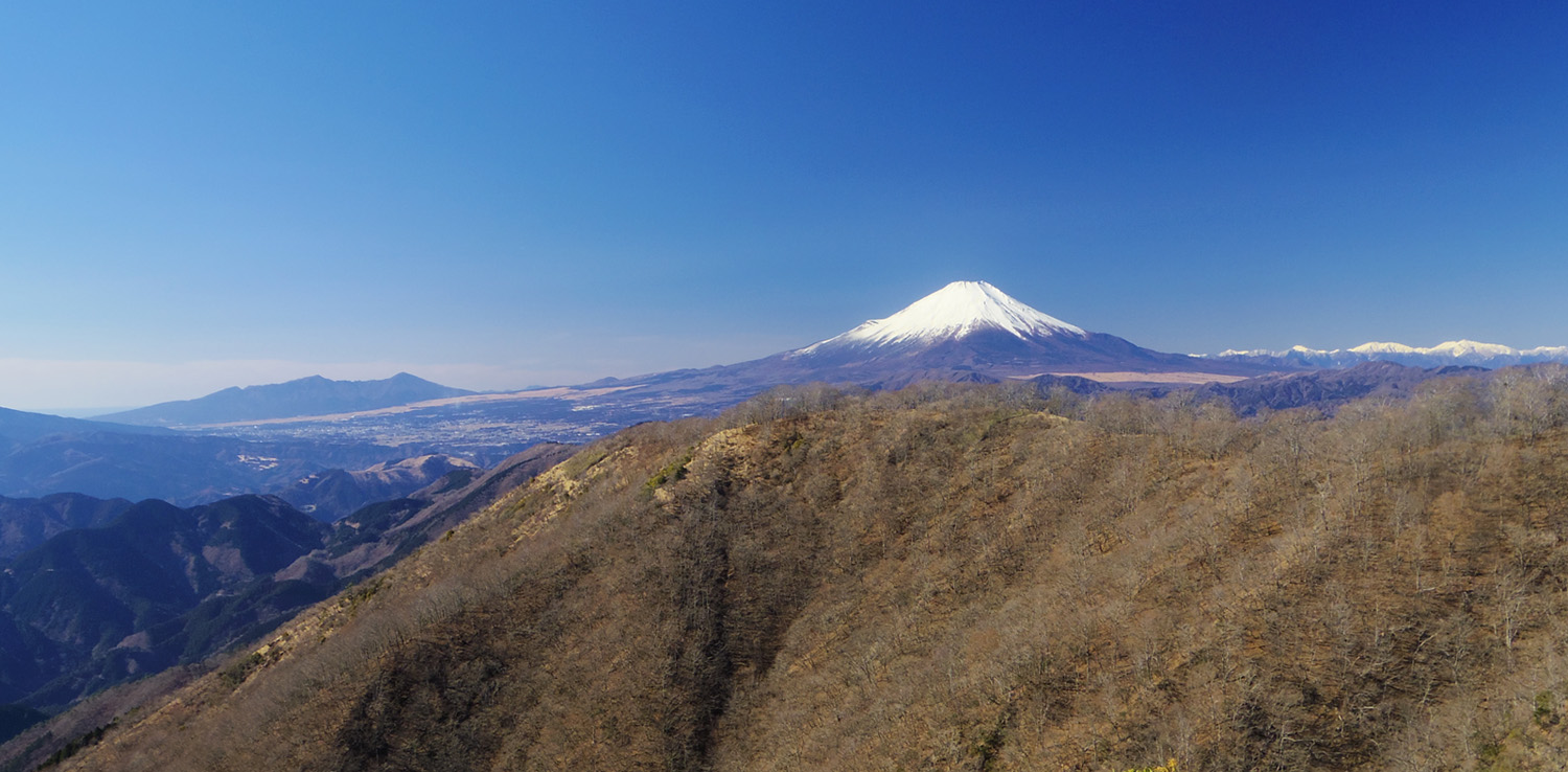 �@���m�x�̉ԗ��m������̕x�m�R�@�@�@�@2018.1.14