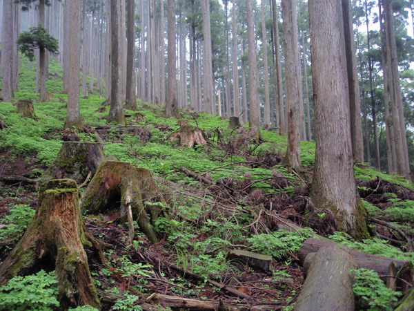 �񖓂���25���̂Ƃ���@