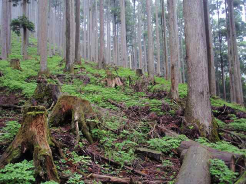 �񖓂���25���̂Ƃ���