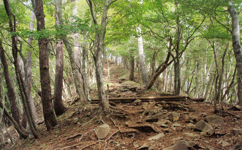 ����z����13��