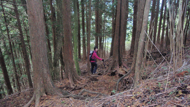 ���۔������򂩂�13��