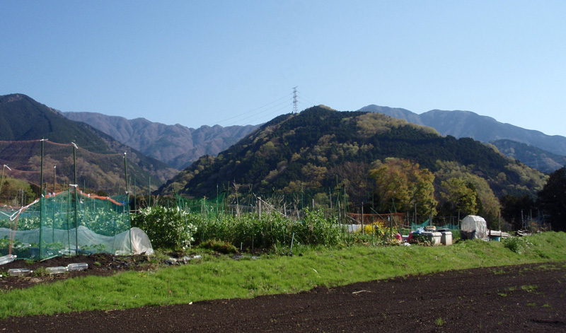 �犄�R�o�R�����n��