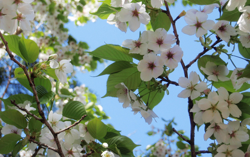 �}���U�N��