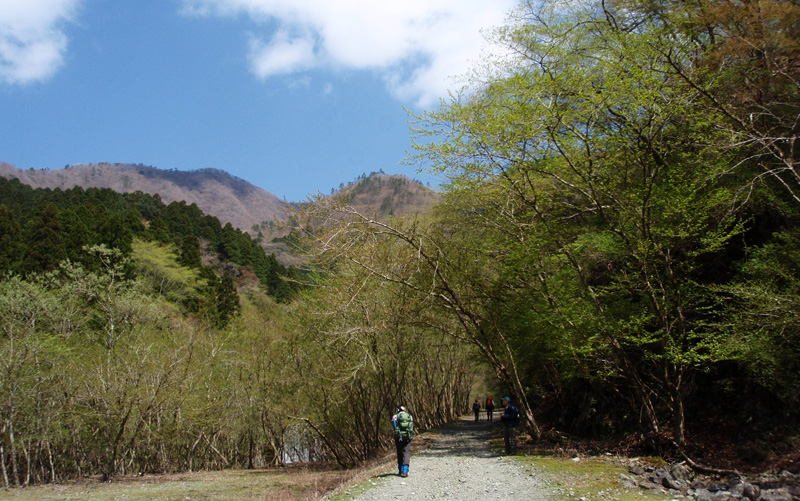 �񖓁`�~�Y�q��